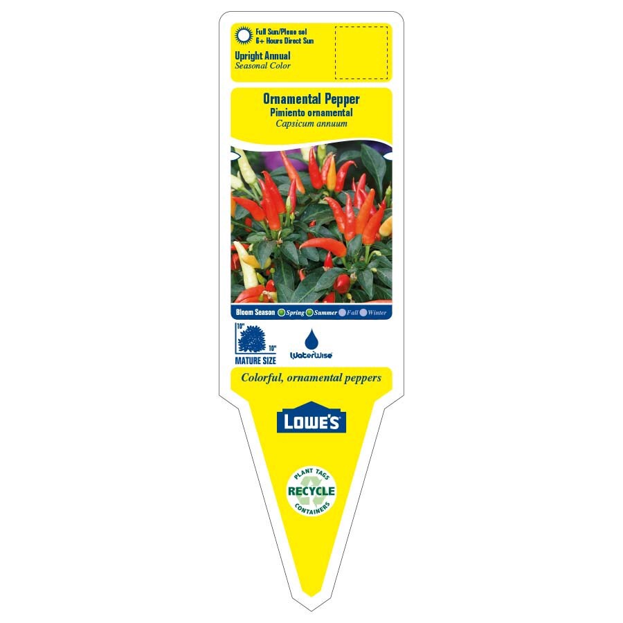 slide 2 of 6, Lowe's Multicolor Ornamental Pepper in 3 Quart(s) Planter 1 -Pack, 1 ct