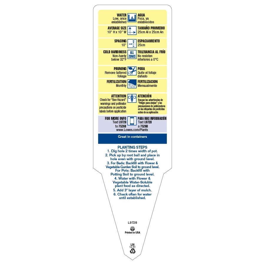 slide 3 of 6, Lowe's Multicolor Ornamental Pepper in 3 Quart(s) Planter 1 -Pack, 1 ct