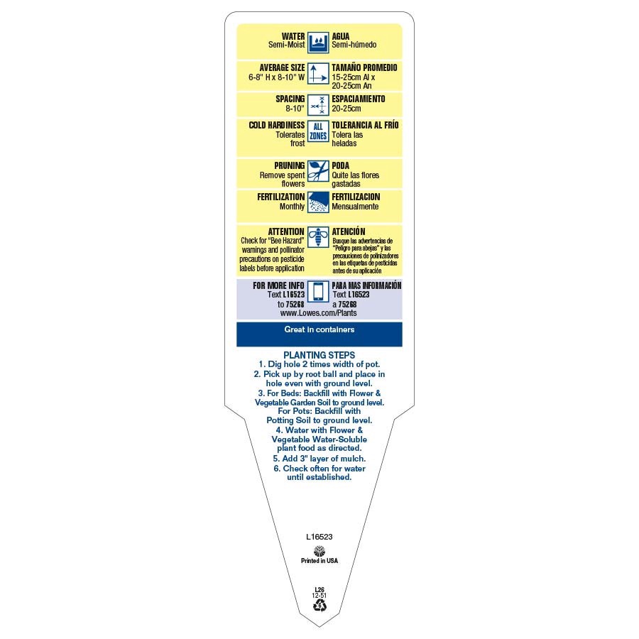 slide 3 of 4, Lowe's Multicolor Viola in 1.5-Gallon Planter, 1 ct