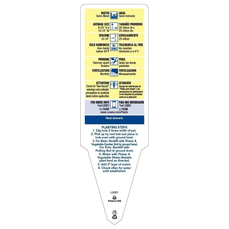 slide 3 of 4, Monrovia Multicolor Pentas in 2.5-Quart Pot, 1 ct