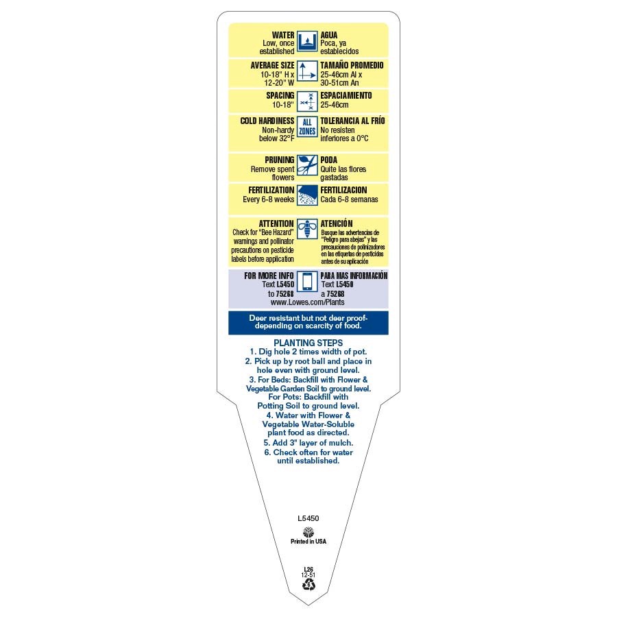 slide 4 of 6, Lowe's Multicolor Geranium Planter, 1 ct