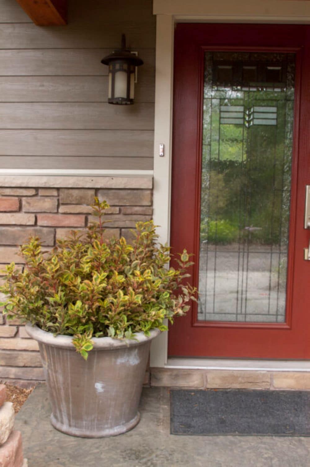 slide 4 of 6, Lowe's Rainbow Sensation Weigela Flowering Shrub in 2 -Gallon Pot 1 -Pack with Pink Blooms, 1 ct