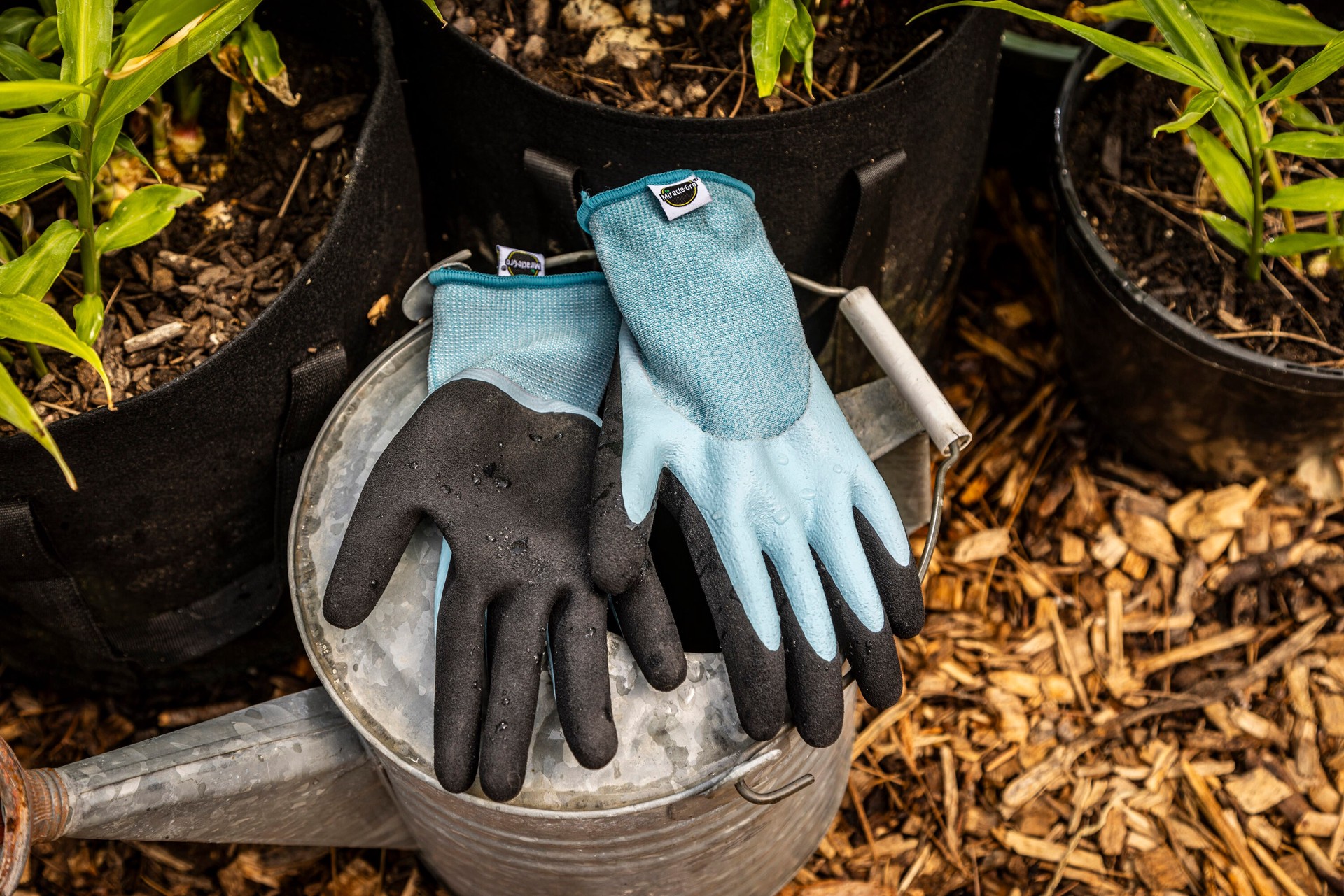 slide 5 of 6, Miracle-Gro Large Blue Latex Dipped Latex Gardening Gloves, (1-Pair), 1 ct