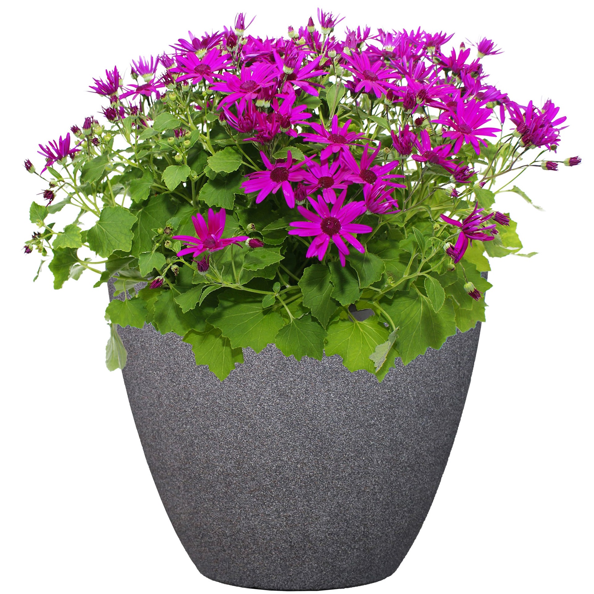 slide 6 of 6, allen + roth 16.37-in W x 16.37-in L Gray Resin Indoor/Outdoor Planter, 1 ct