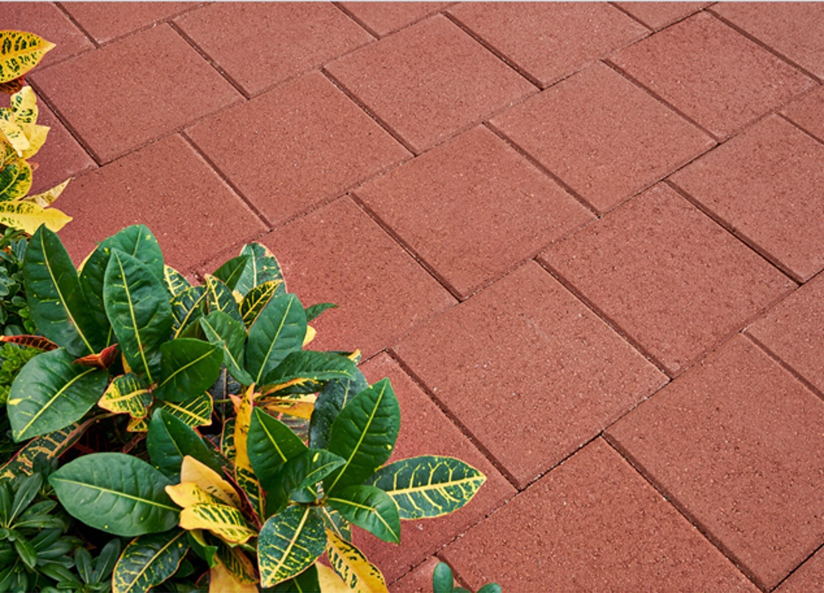 slide 3 of 3, 12-in L x 12-in W x 2-in H Square Red Concrete Patio Stone, 1 ct