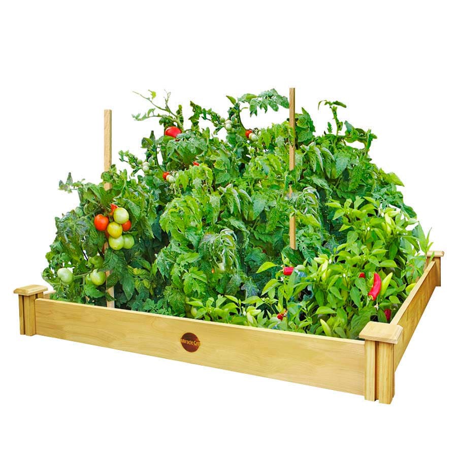 slide 2 of 6, Miracle-Gro 7.3-cu ft 48-in W x 48-in L x 5.5-in H Natural Cedar Cedar Raised Garden Bed, 1 ct