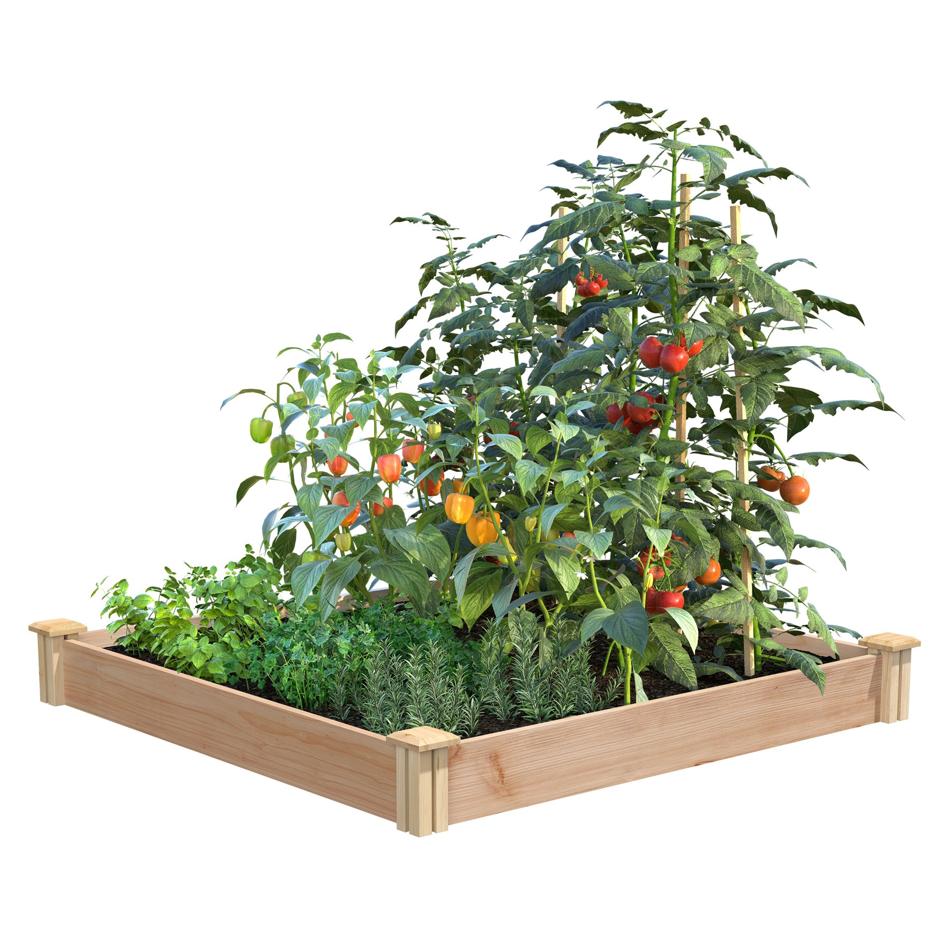 slide 1 of 6, Miracle-Gro 7.3-cu ft 48-in W x 48-in L x 5.5-in H Natural Cedar Cedar Raised Garden Bed, 1 ct