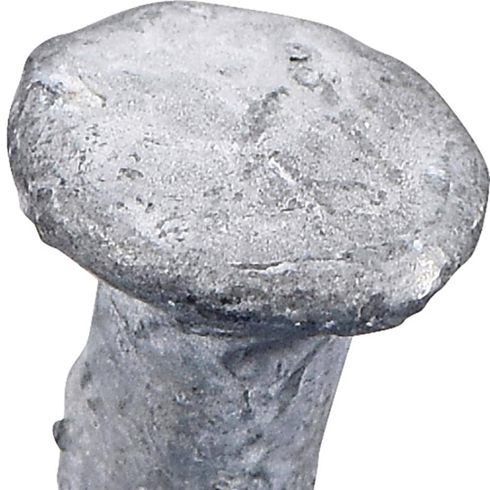 slide 6 of 6, Fas-n-Tite 3-1/2-in x 16d Galvanized Spiral Shank Deck nails ( 48 -Per Box ), 1 ct