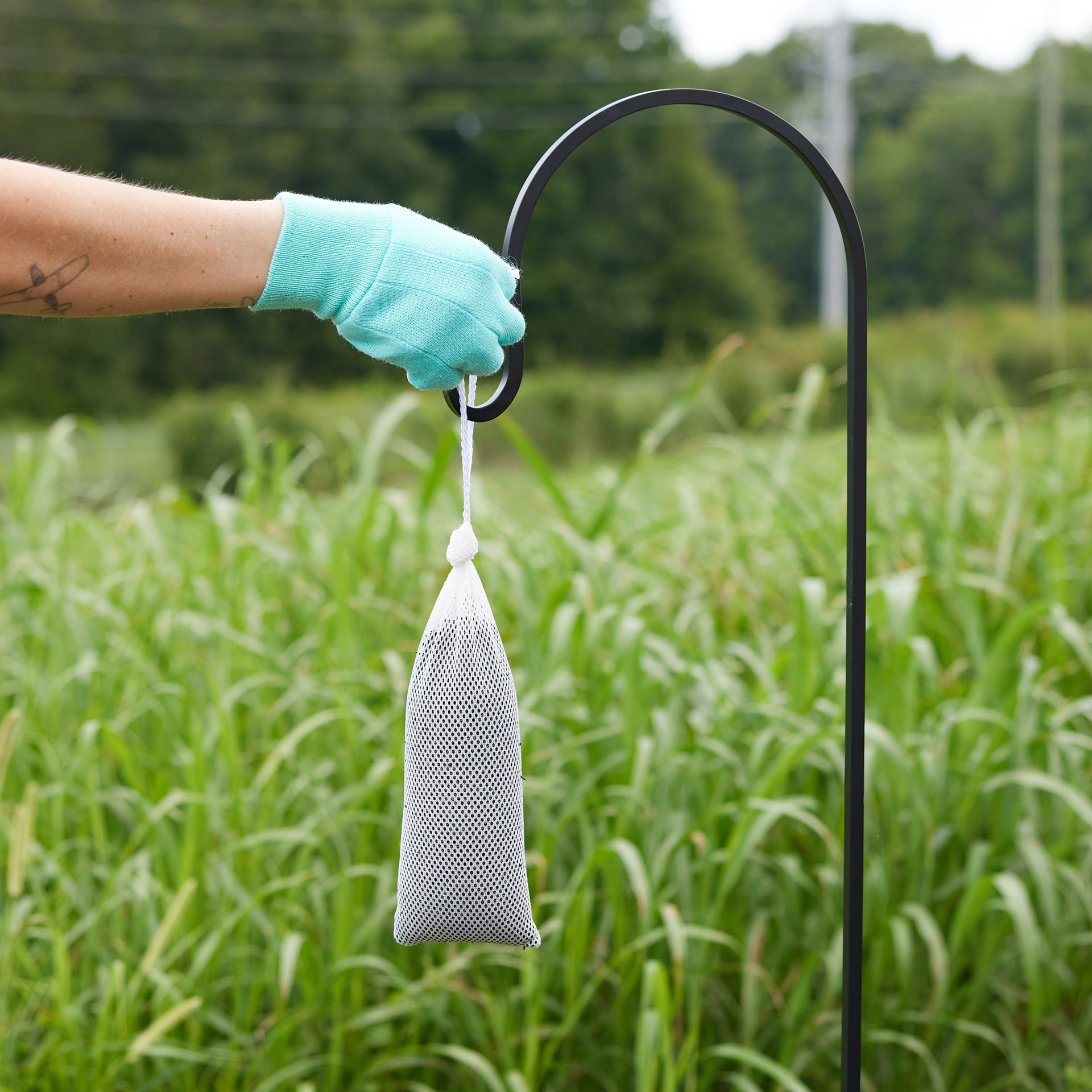 slide 5 of 6, National Audubon Society Finch Sock with Nyjer Thistle Bird seed 13 Ounce(s), 1 ct