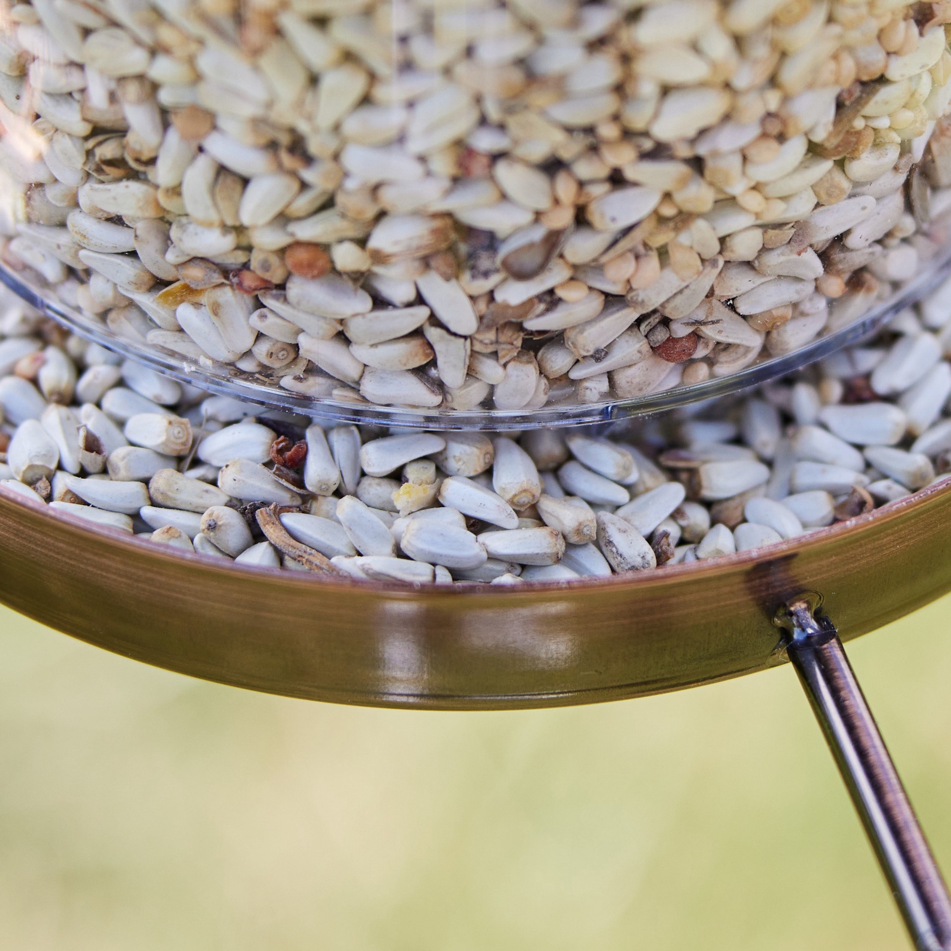 slide 3 of 6, National Audubon Society Safflower Seed Safflower Bird seed 7 Pound(s), 1 ct