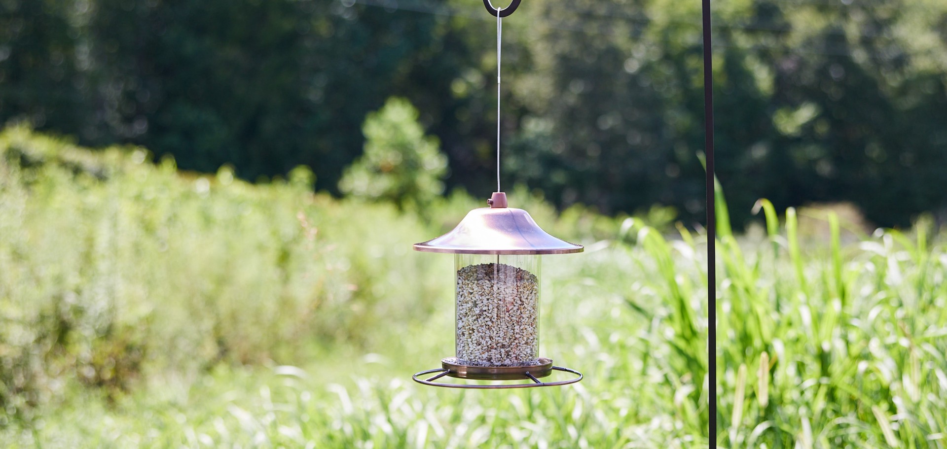 slide 4 of 6, National Audubon Society Safflower Seed Safflower Bird seed 7 Pound(s), 1 ct