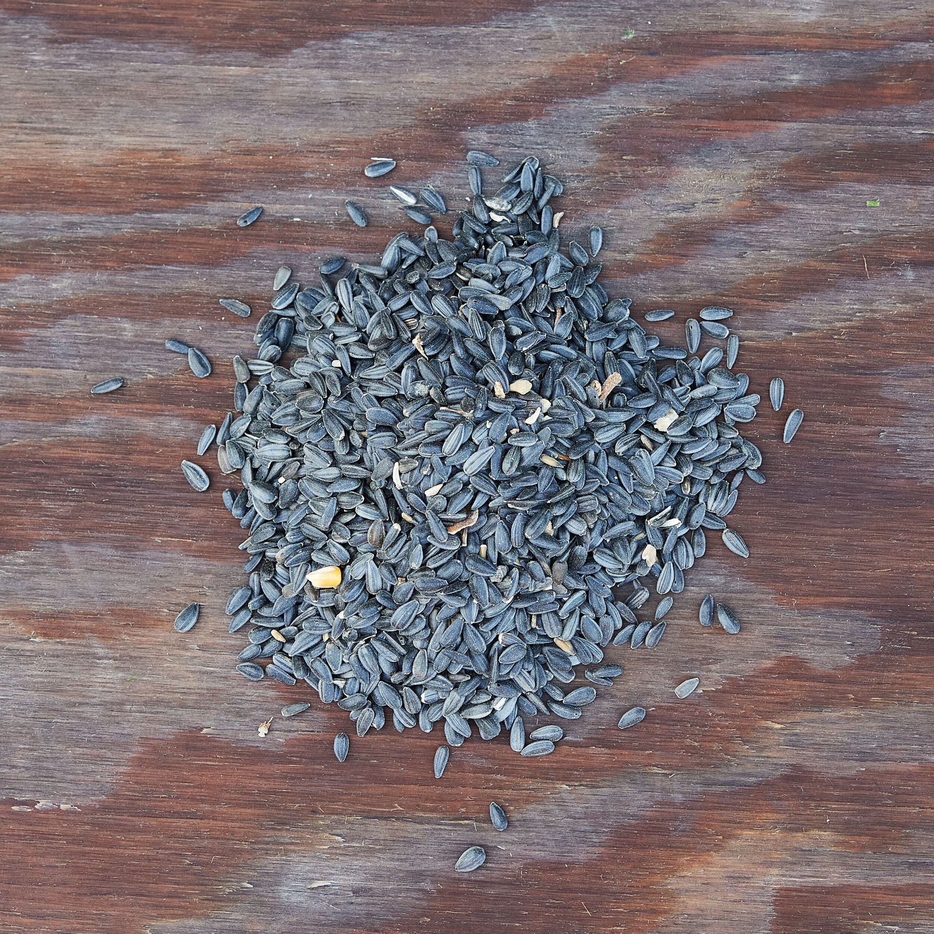 slide 2 of 6, National Audubon Society Black Oil Sunflower Seed Black oil sunflower Bird food 40 Pound(s), 1 ct