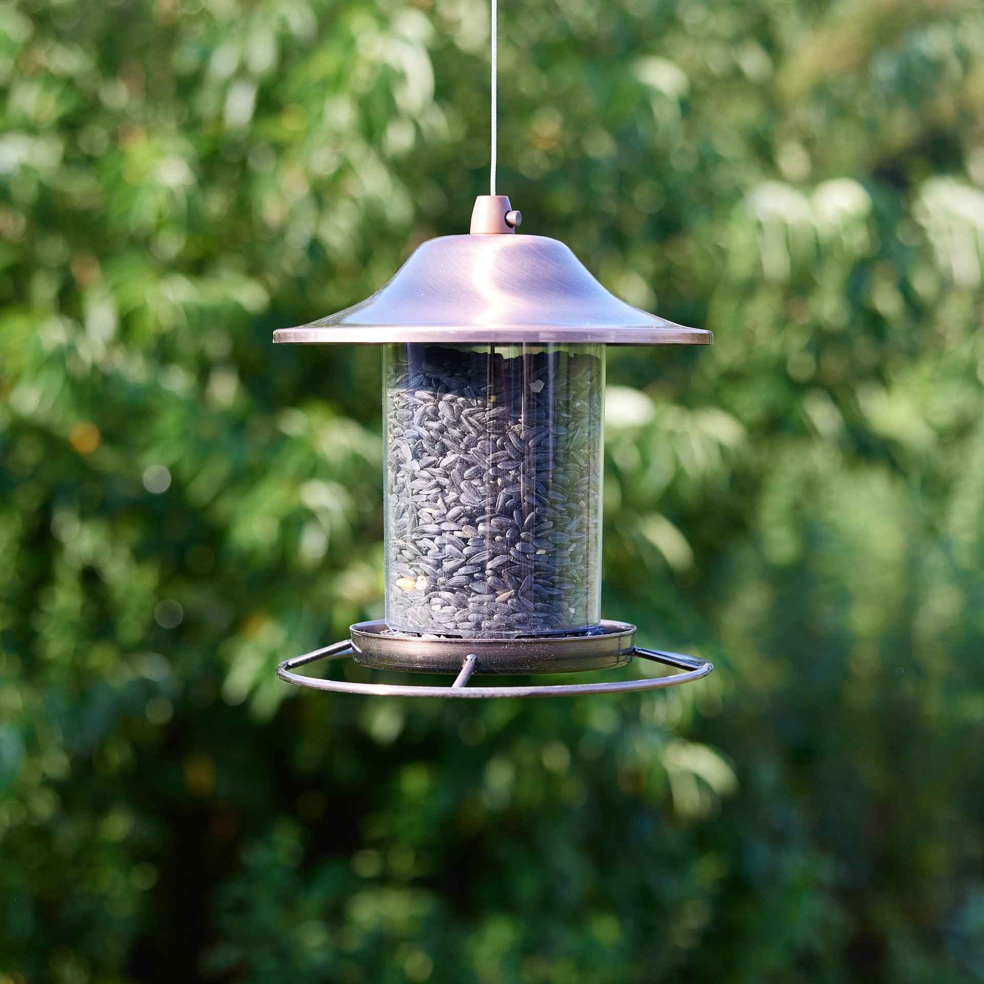 slide 5 of 6, National Audubon Society Black Oil Sunflower Seed Black oil sunflower Bird food 40 Pound(s), 1 ct