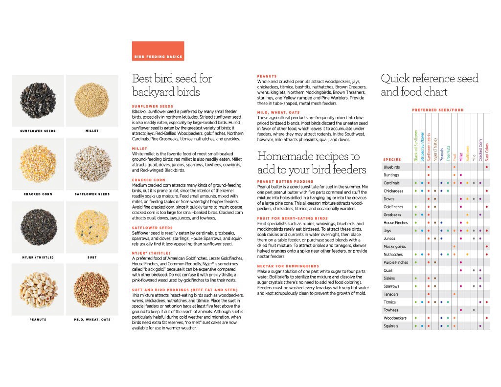 slide 4 of 6, National Audubon Society Peanut Stacker Hulled sunflower Bird Treat 9-oz, 1 ct