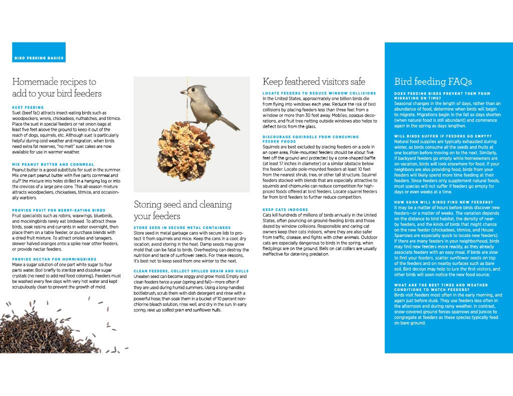 slide 6 of 6, National Audubon Society Peanut Stacker Hulled sunflower Bird Treat 9-oz, 1 ct