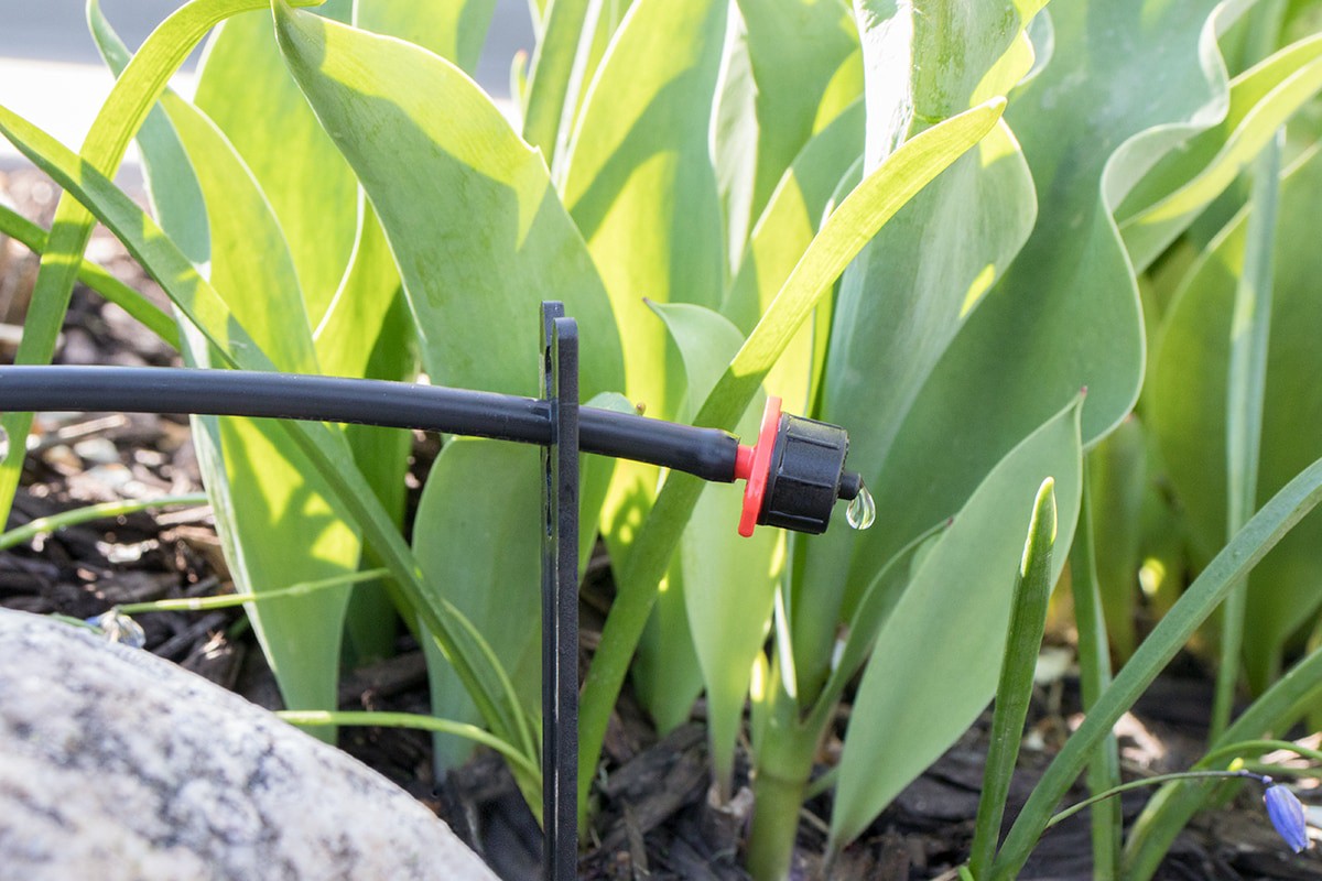 slide 5 of 6, Orbit 0.5 GPH Drip Irrigation Dripper 10 -Pack, 1 ct