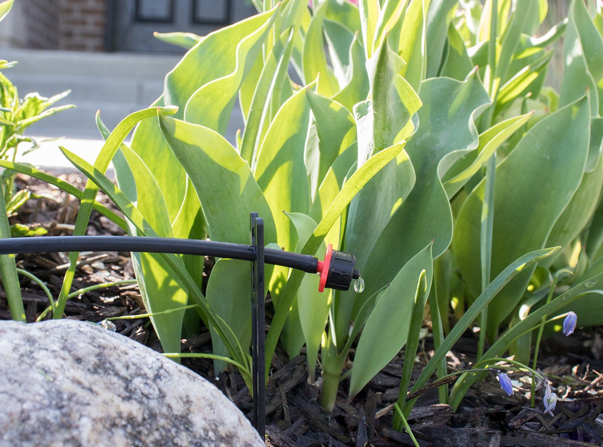 slide 6 of 6, Orbit 0.5 GPH Drip Irrigation Dripper 10 -Pack, 1 ct