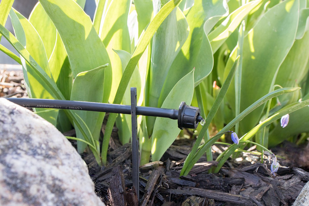 slide 5 of 6, Orbit 1 GPH Drip Irrigation Dripper 10 -Pack, 1 ct