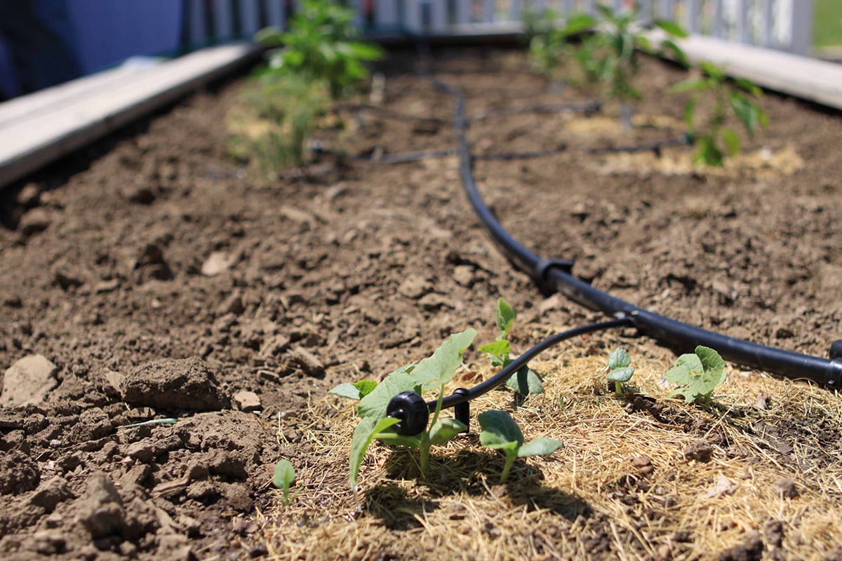 slide 6 of 6, Orbit 1 GPH Drip Irrigation Dripper 10 -Pack, 1 ct