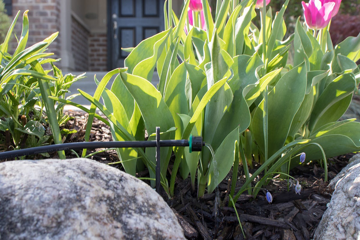 slide 5 of 5, Orbit 2 GPH Drip Irrigation Dripper 10 -Pack, 1 ct