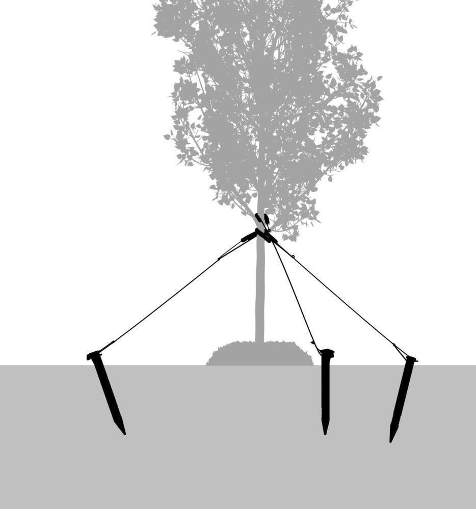 slide 2 of 4, 9-in Black Plastic Traditional Stake, 1 ct