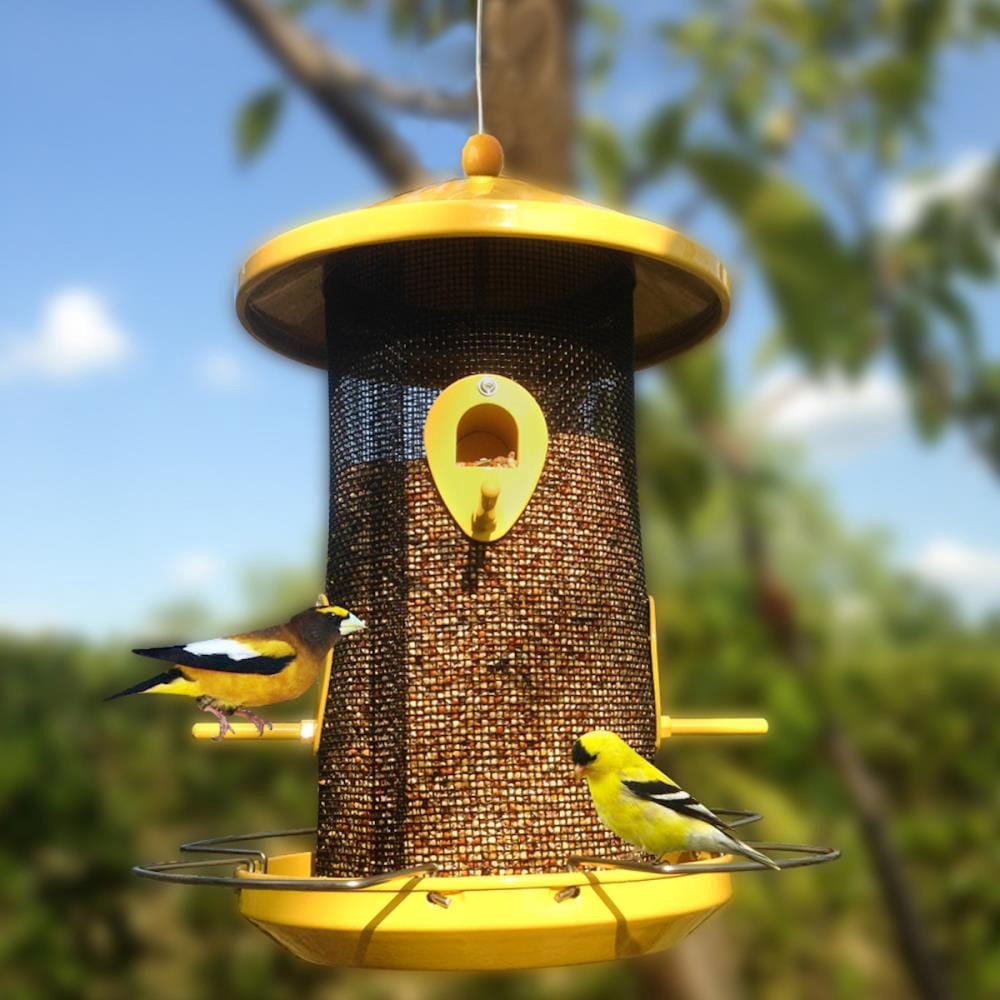slide 5 of 6, Style Selections Mesh Hanging Hopper Bird feeder - 4-lb, 1 ct