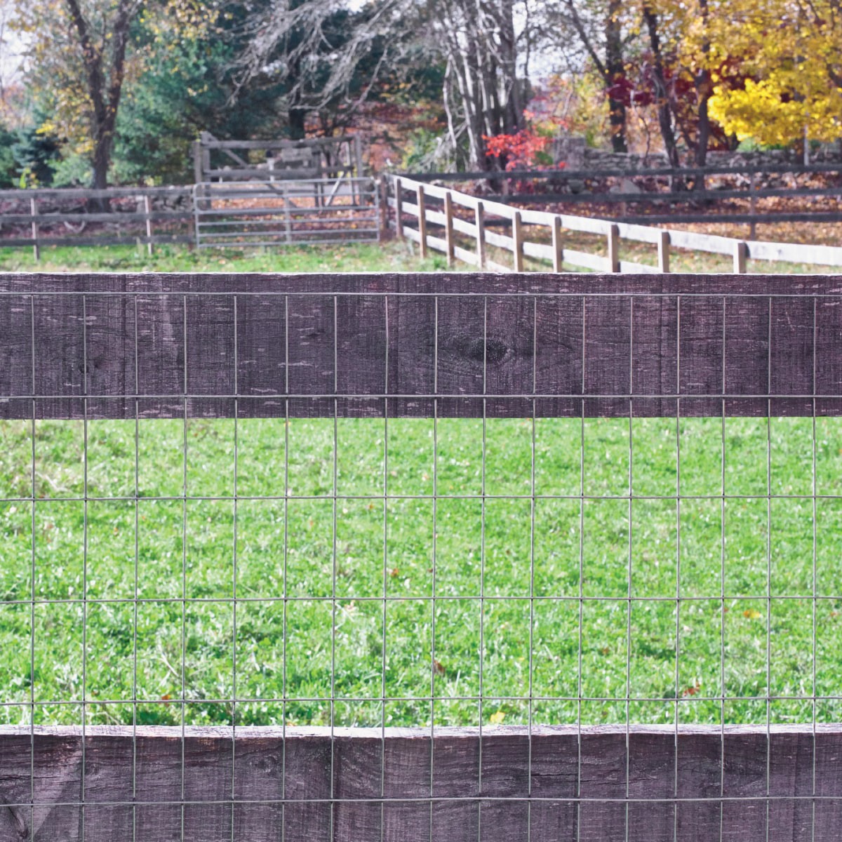 slide 5 of 6, IRONRIDGE 50-ft x 4-ft 14 -Gauge Gray Steel Welded Wire Rolled Fencing 2-in x 4-in - Mesh Size, 1 ct