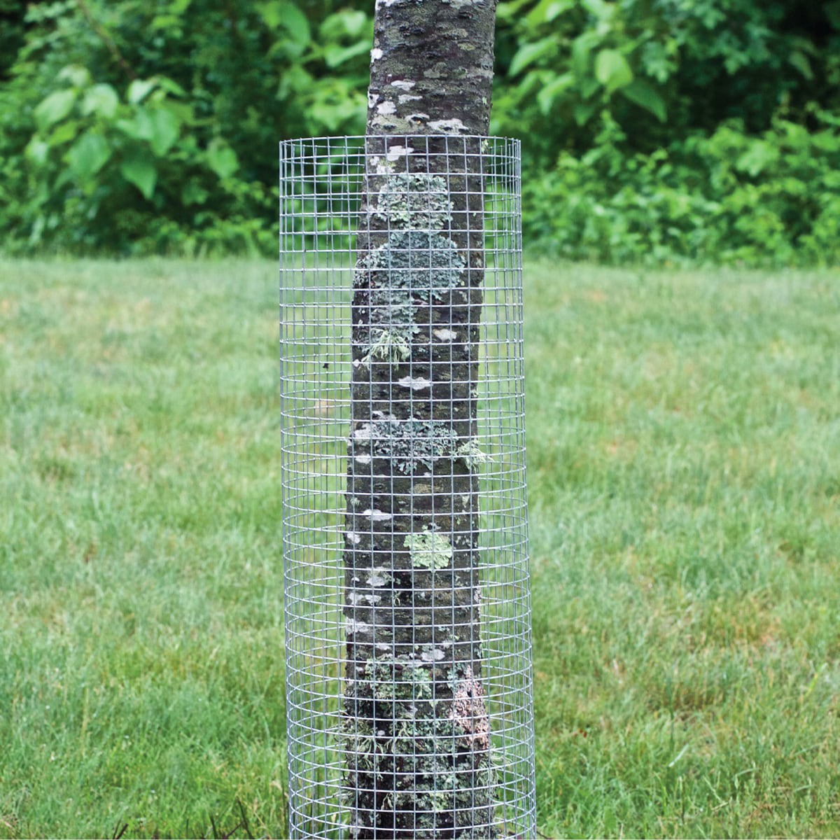 slide 2 of 6, GARDEN CRAFT 10-ft x 2-ft Gray Steel Hardware Cloth Rolled Fencing 1/2-in x 1/2-in - Mesh Size, 1 ct