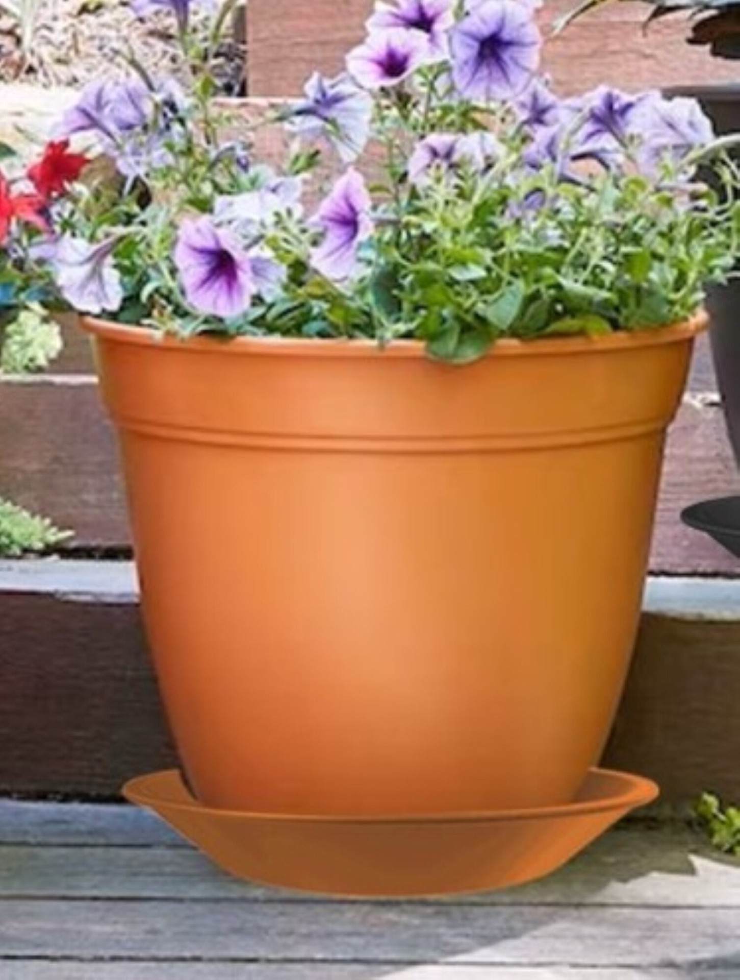slide 4 of 4, Style Selections 12.24-in Clay Plastic Plant Saucer, 1 ct