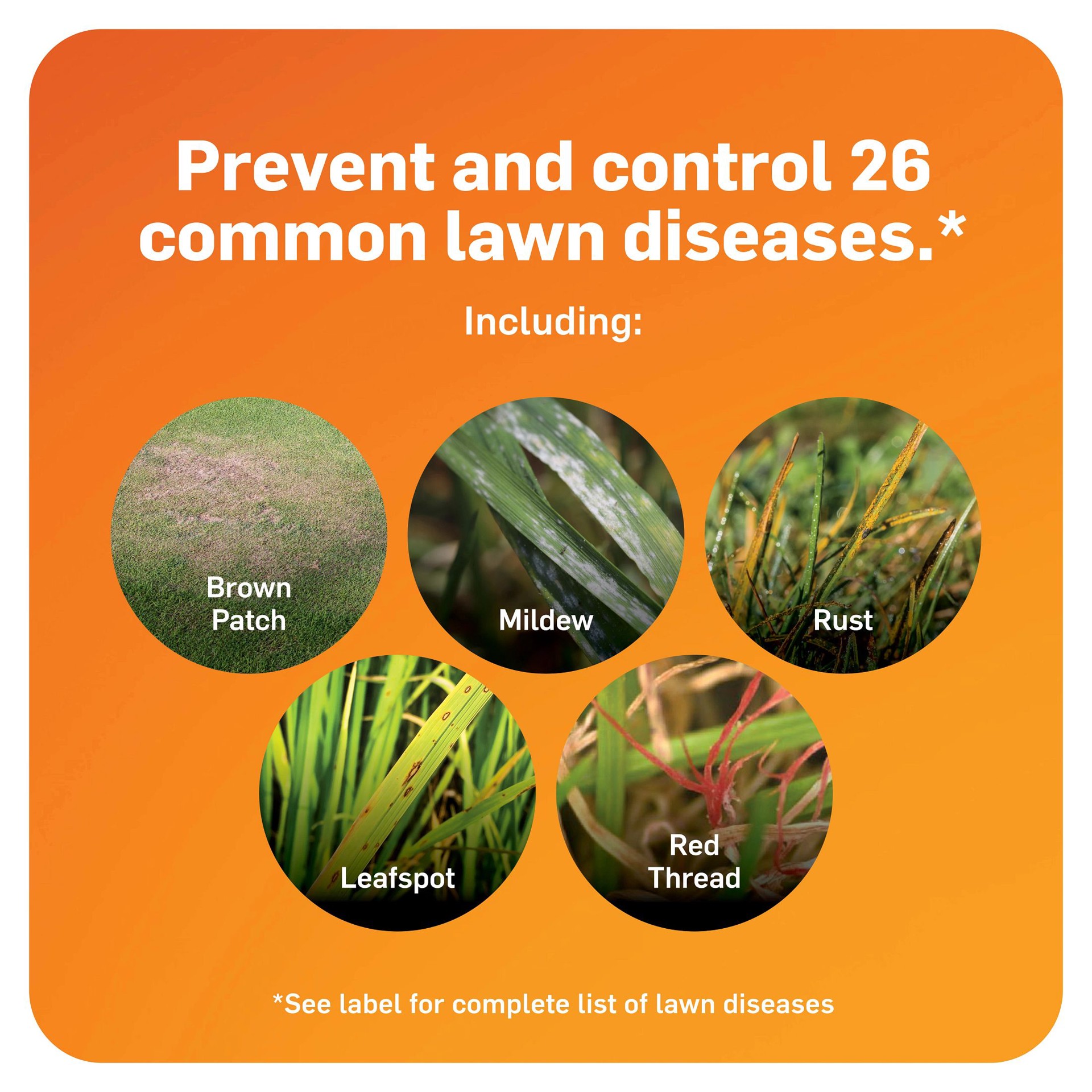 slide 4 of 6, Scotts DiseaseEx Lawn 10 -lb Fungicide, 1 ct