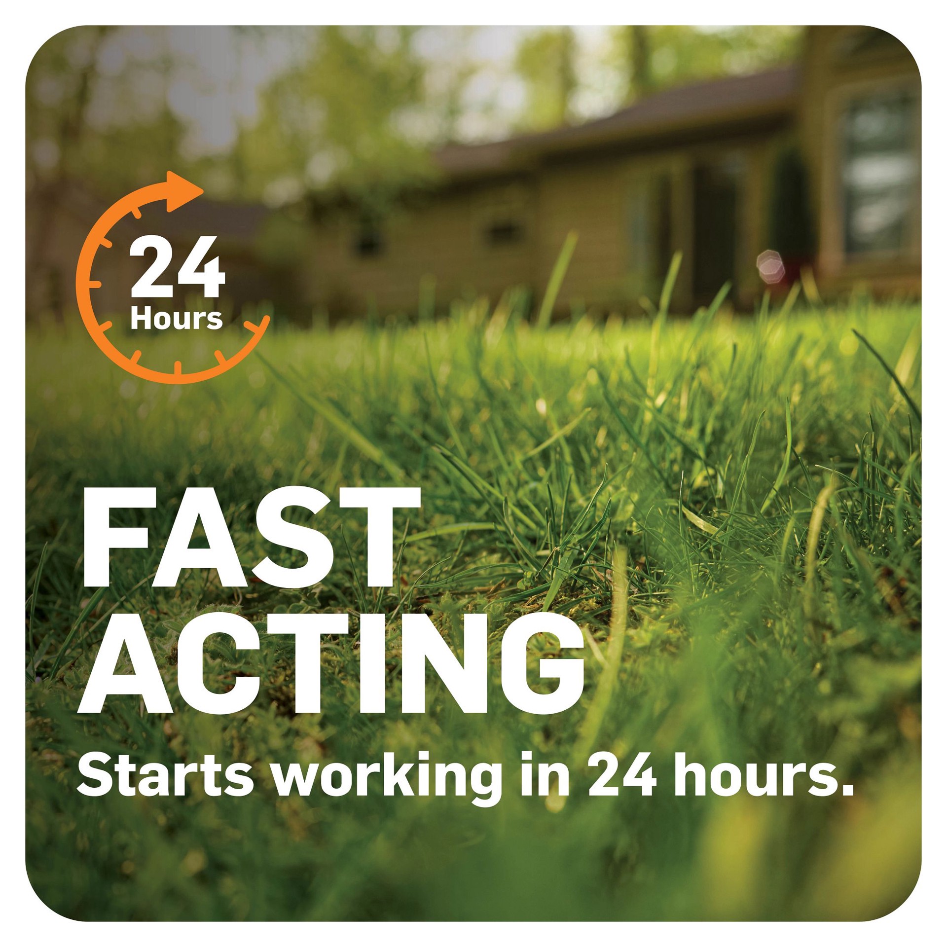 slide 5 of 6, Scotts DiseaseEx Lawn 10 -lb Fungicide, 1 ct