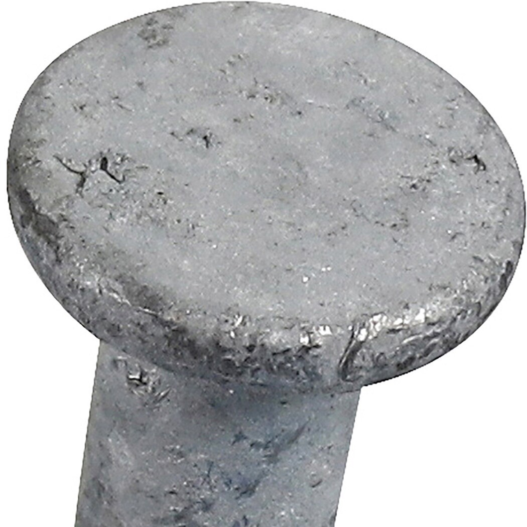 slide 3 of 4, Fas-n-Tite 3-in 9 -Gauge Hot-dipped galvanized Ring Shank Common Nails 61 -Per Box, 1 ct