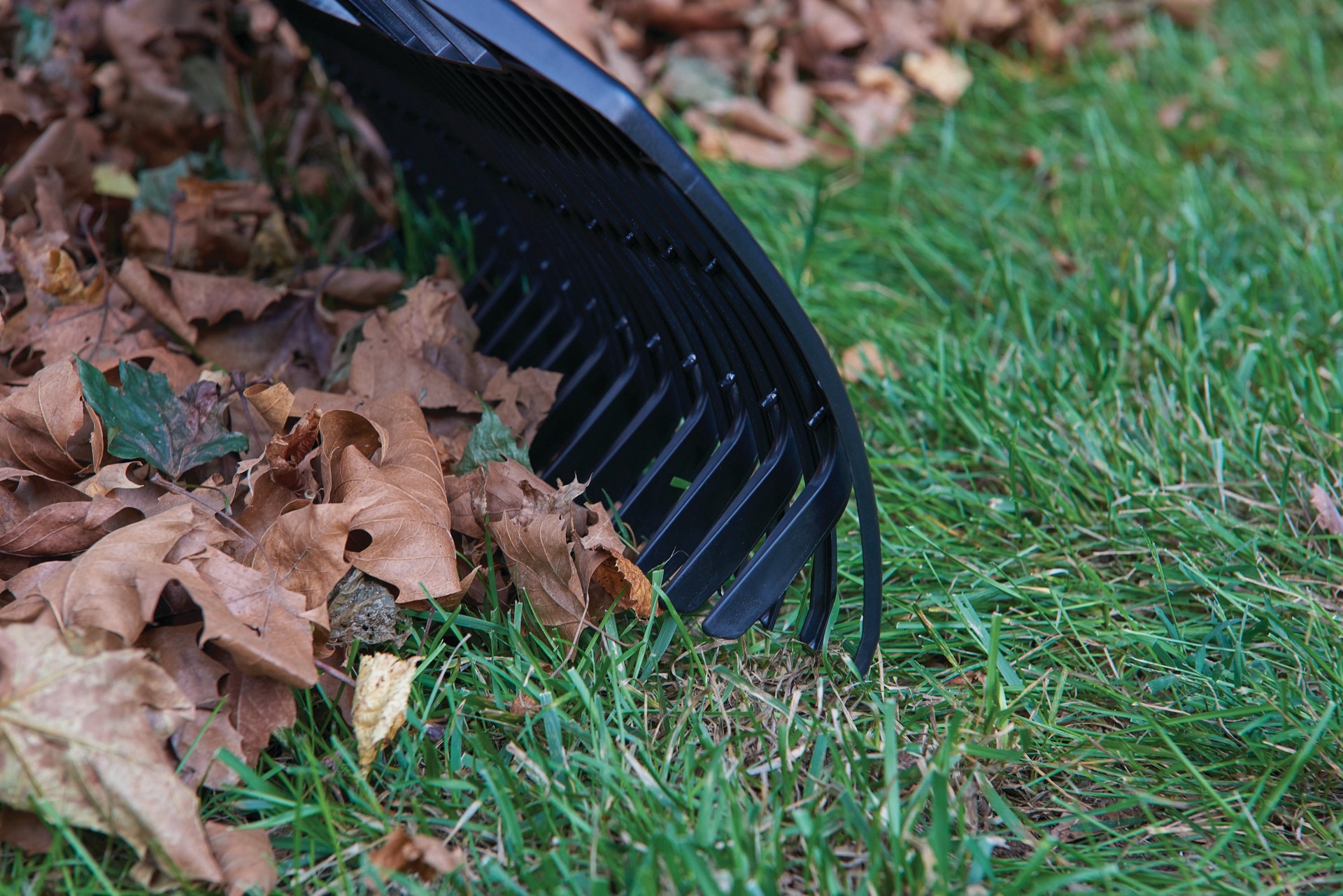 slide 5 of 6, CRAFTSMAN 26-in Leaf Rake, 1 ct