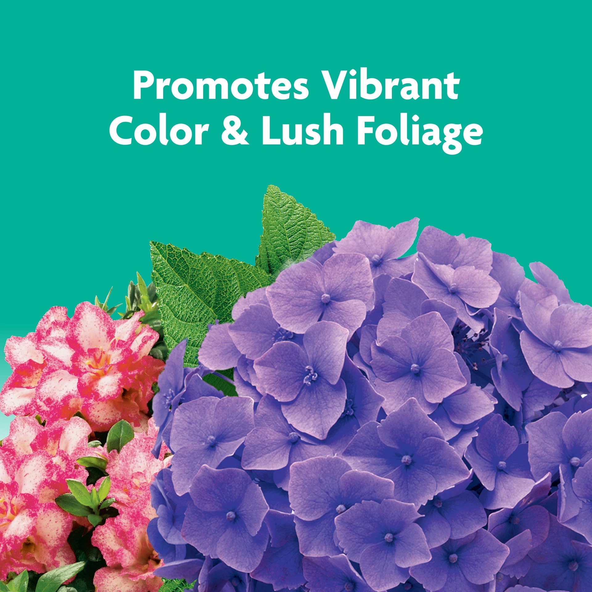 slide 6 of 6, Miracle-Gro Tree and Shrub 3-lb 15-5-10 Spikes Tree Food, 1 ct