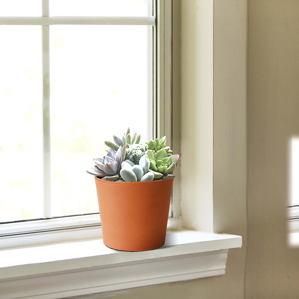 slide 3 of 6, Southern Patio Round 6.5-in W Orange Clay Indoor/Outdoor Planter, 1 ct