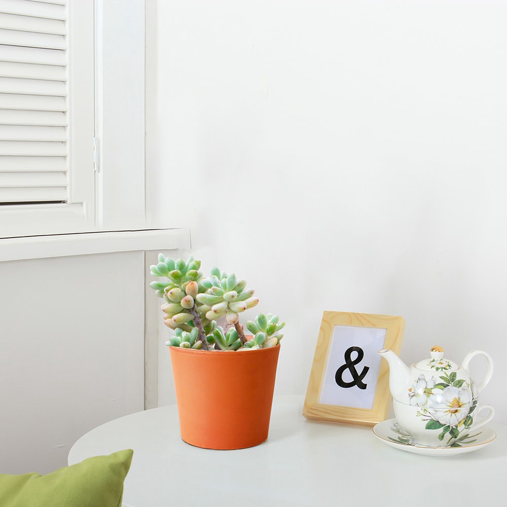 slide 5 of 6, Southern Patio Round 6.5-in W Orange Clay Indoor/Outdoor Planter, 1 ct