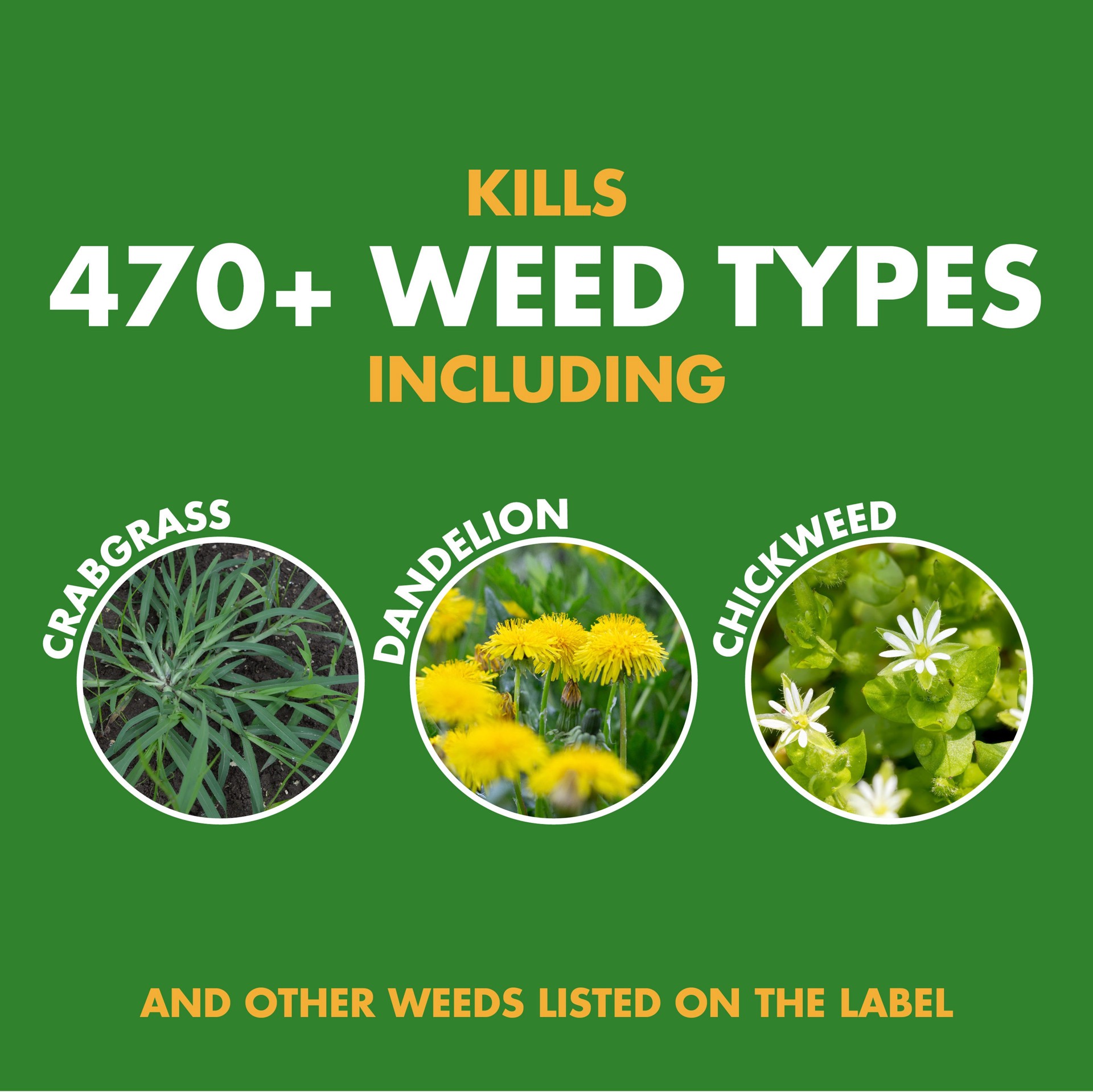 slide 2 of 6, Spectracide AccuShot Weed Stop For Lawns Plus Crabgrass 1.33 -Gallon Ready to Use Lawn Weed Killer, 1 ct