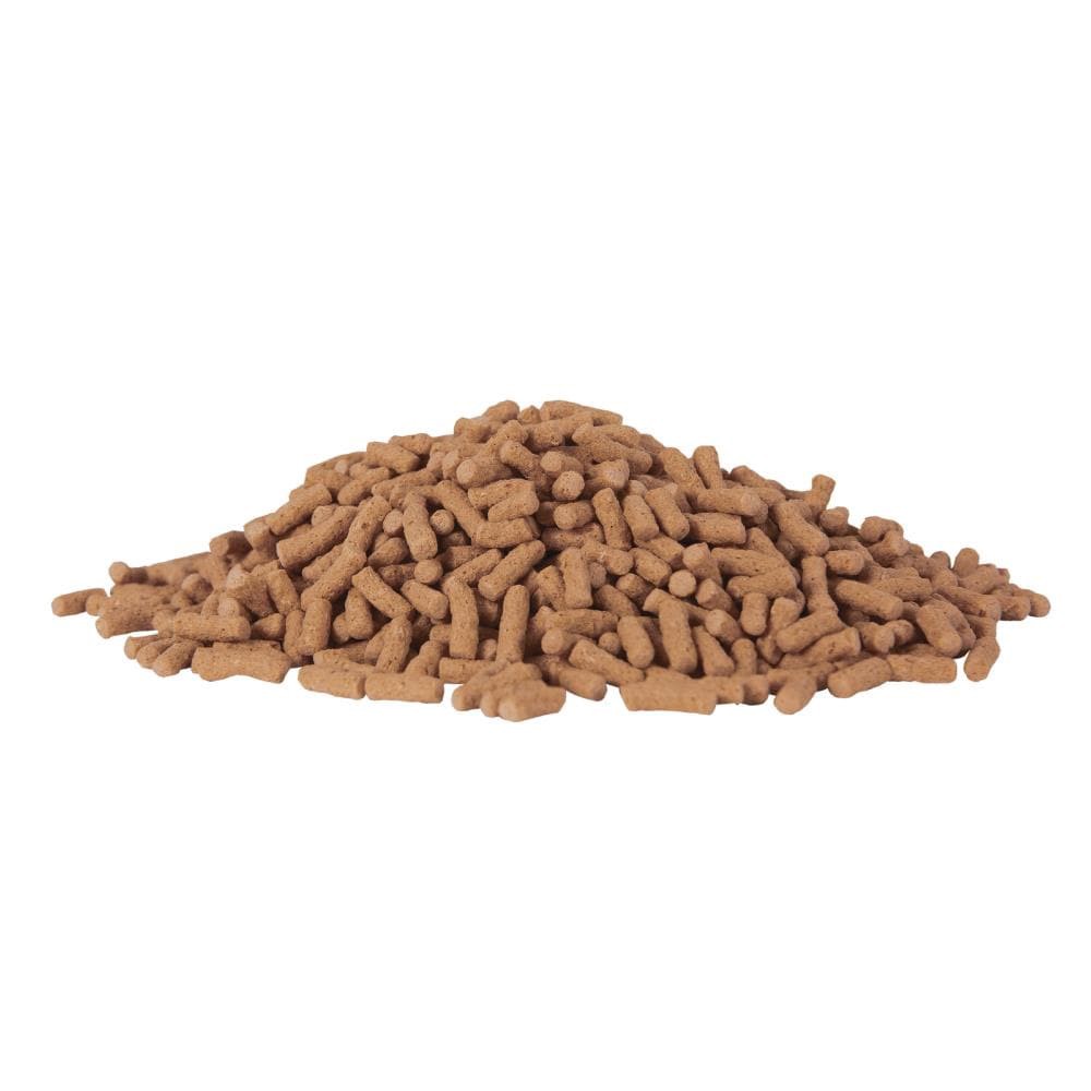 slide 4 of 4, Tetra 1 lb Goldfish and Koi 11.25-in x 9.5-in x 4.75-in Green (fish food) Pond Fish food sticks, 1 ct