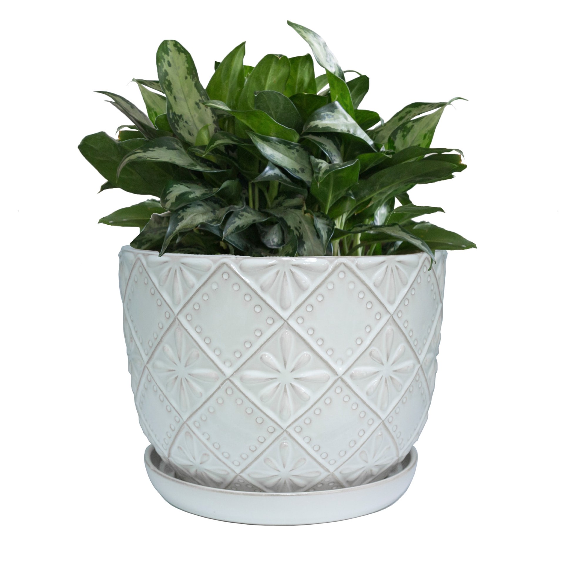 slide 5 of 5, allen + roth Round 10.0-in W x 13.63-in L Off-white Ceramic Indoor Planter, 1 ct
