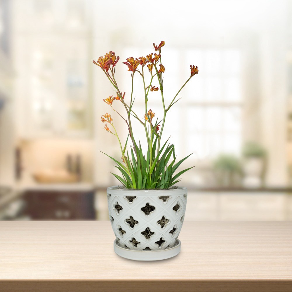 slide 5 of 6, allen + roth Round 8.27-in W x 23.75-in L White Ceramic Indoor Planter, 1 ct