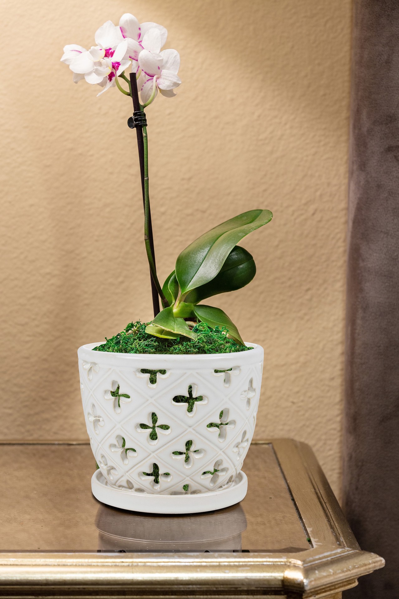 slide 6 of 6, allen + roth Round 8.27-in W x 23.75-in L White Ceramic Indoor Planter, 1 ct