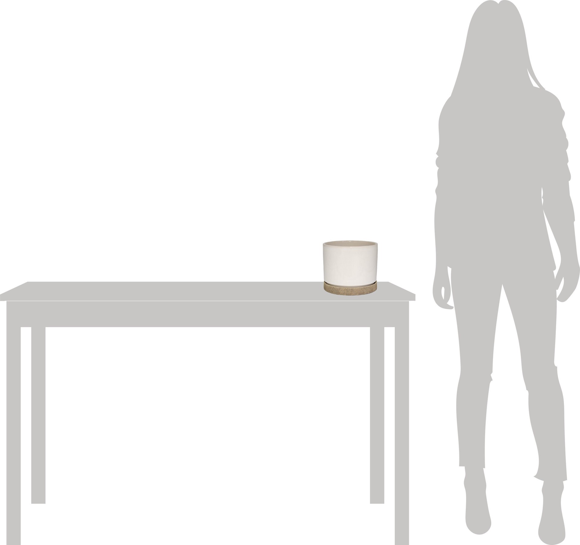 slide 4 of 5, allen + roth Round 5.04-in W x 17.38-in L White Ceramic Indoor Planter, 1 ct