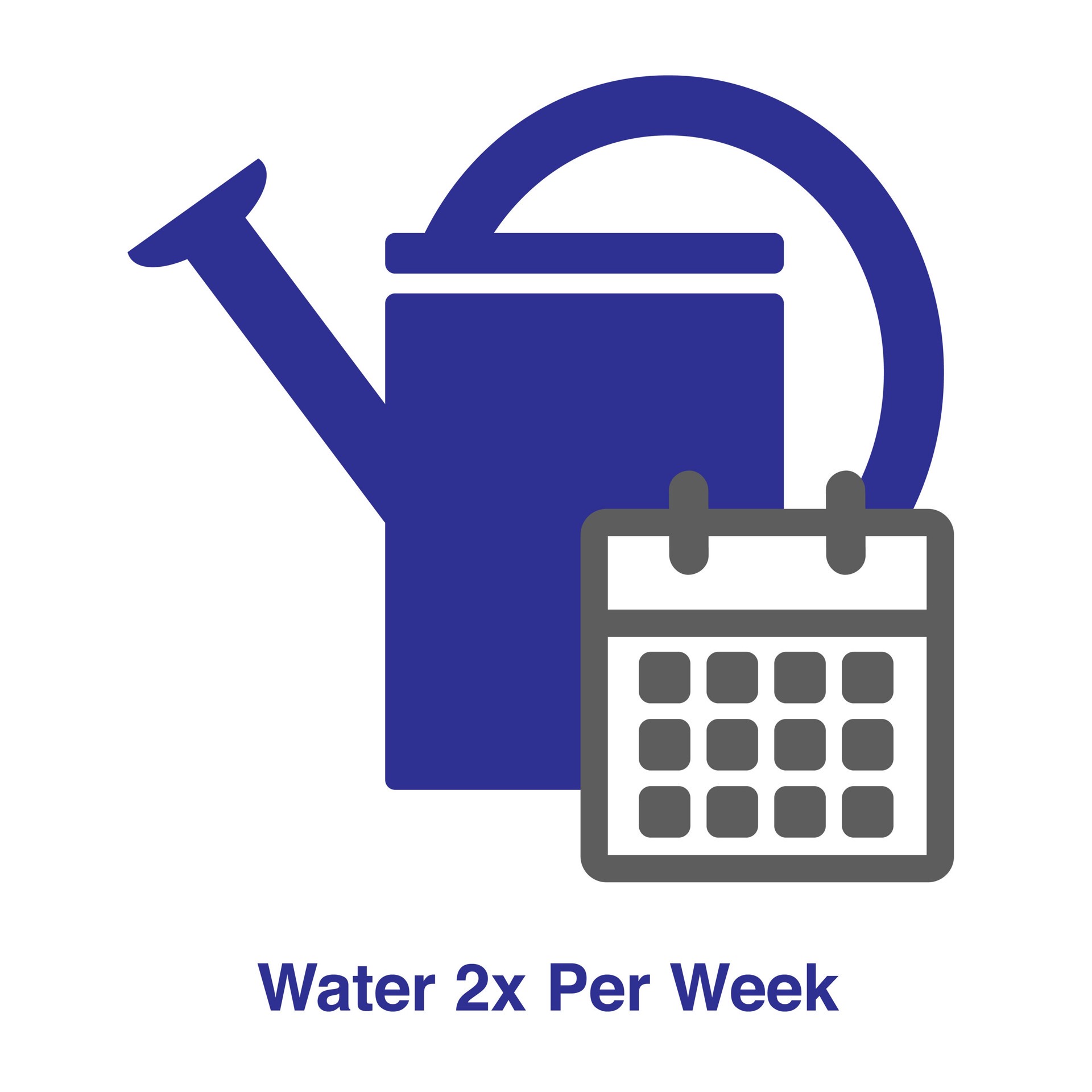 slide 3 of 6, Lowe's BloomStruck Reblooming Hydrangeas Flowering Shrub in 1 -Gallon Pot 1.0 -Pack with Multicolor Blooms, 1 ct