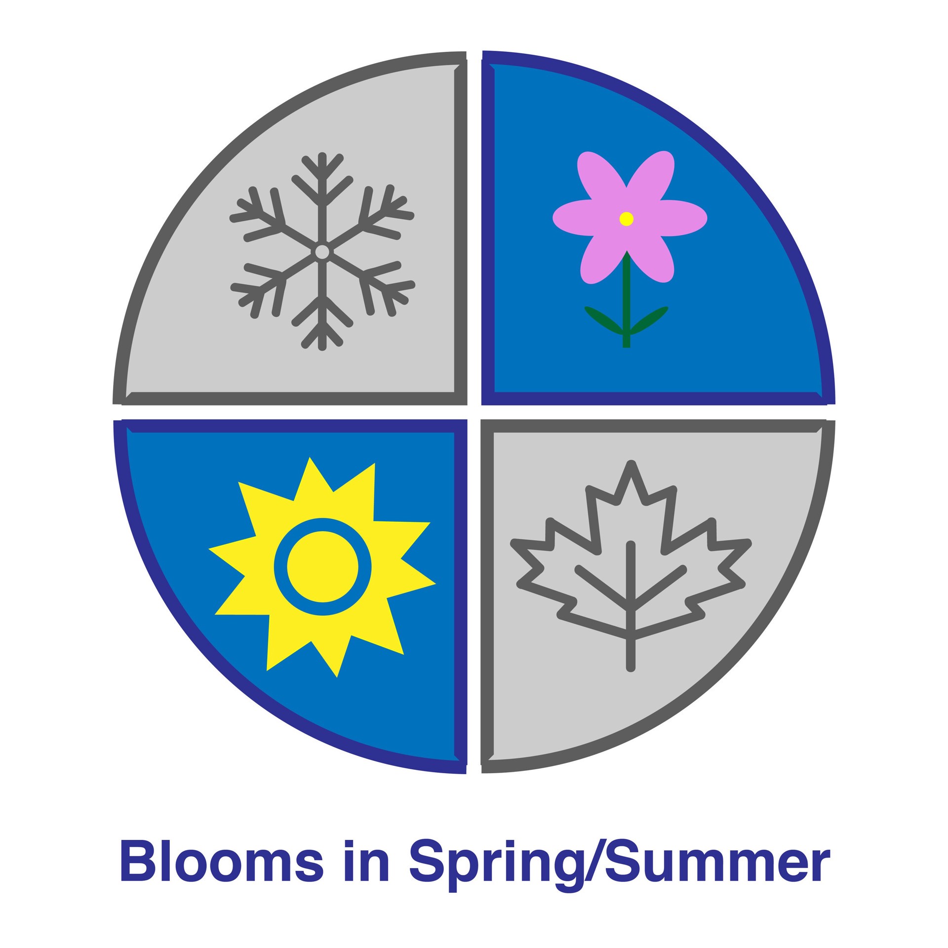 slide 4 of 6, Lowe's BloomStruck Reblooming Hydrangeas Flowering Shrub in 1 -Gallon Pot 1.0 -Pack with Multicolor Blooms, 1 ct