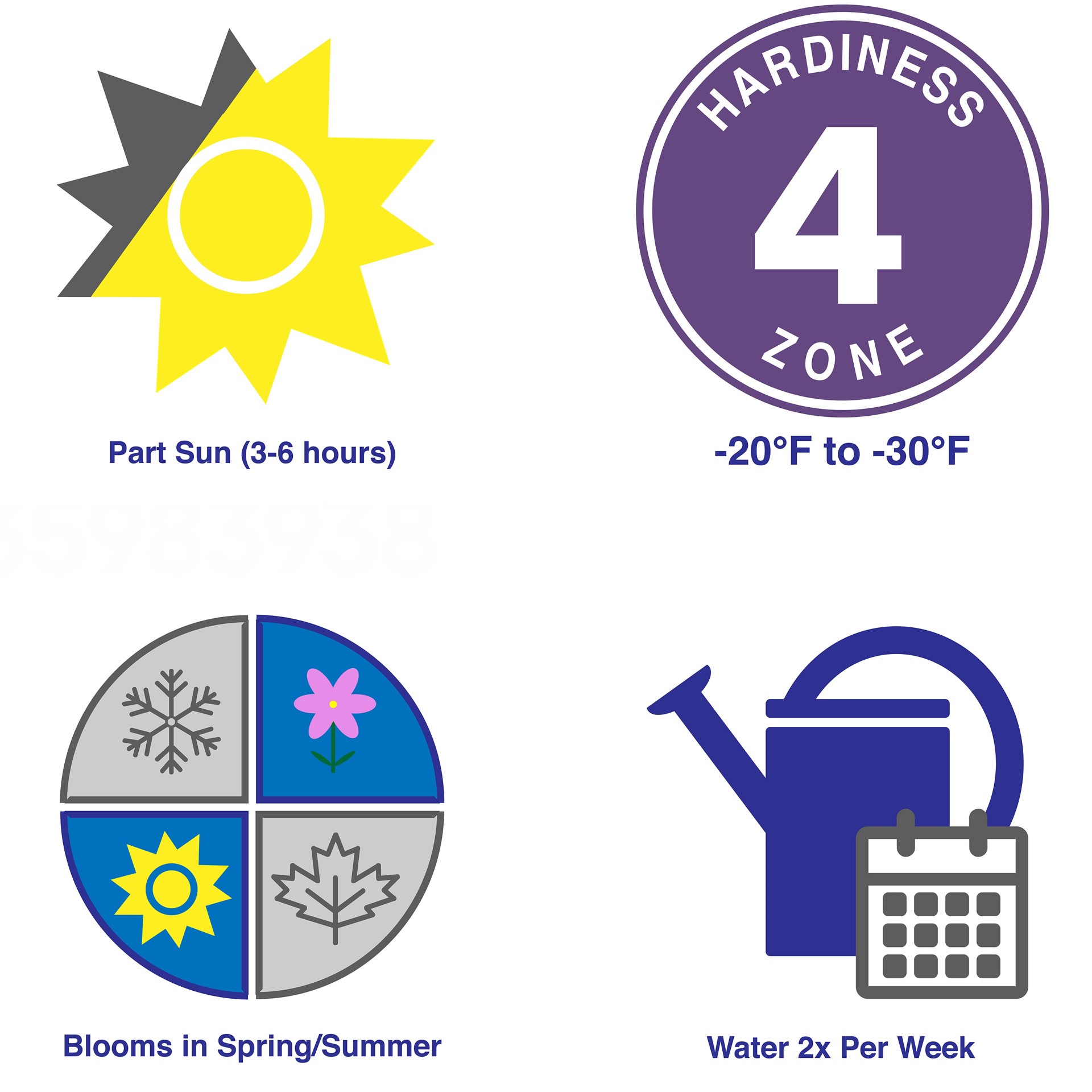 slide 6 of 6, Lowe's BloomStruck Reblooming Hydrangeas Flowering Shrub in 1 -Gallon Pot 1.0 -Pack with Multicolor Blooms, 1 ct