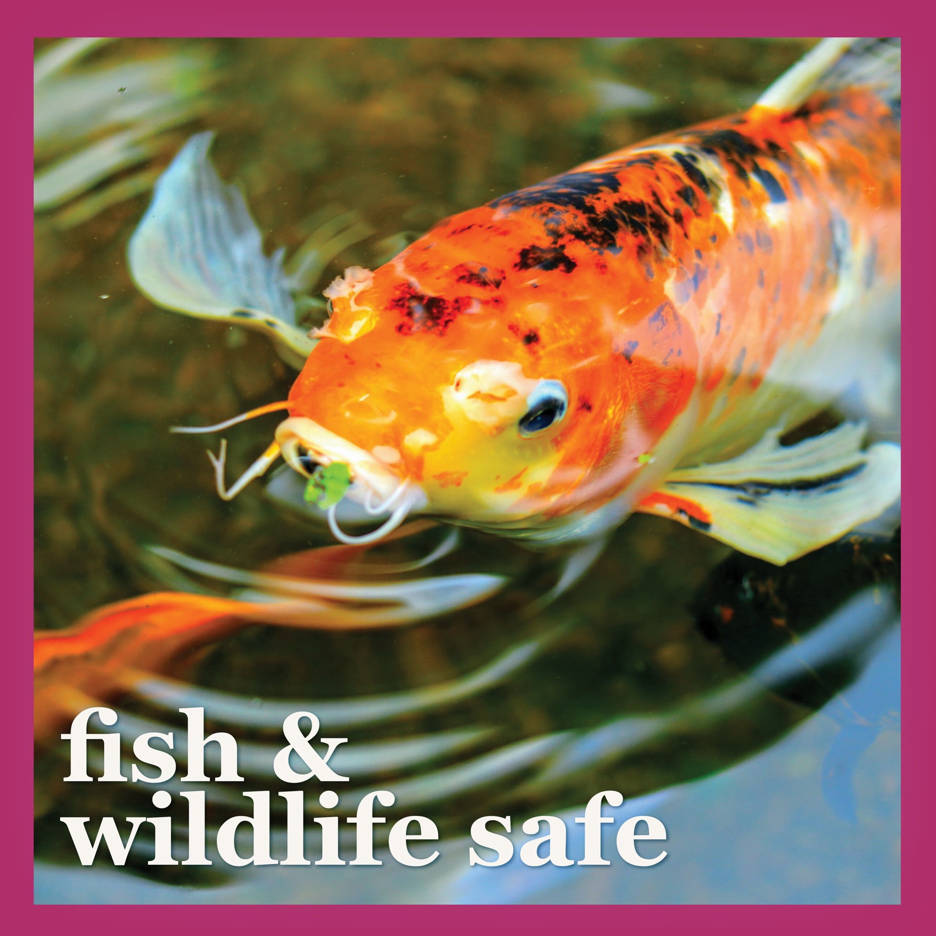 slide 6 of 6, smartpond naturals Pond Liquid Water clarifier 18.0 Fluid ounce(s), 1 ct