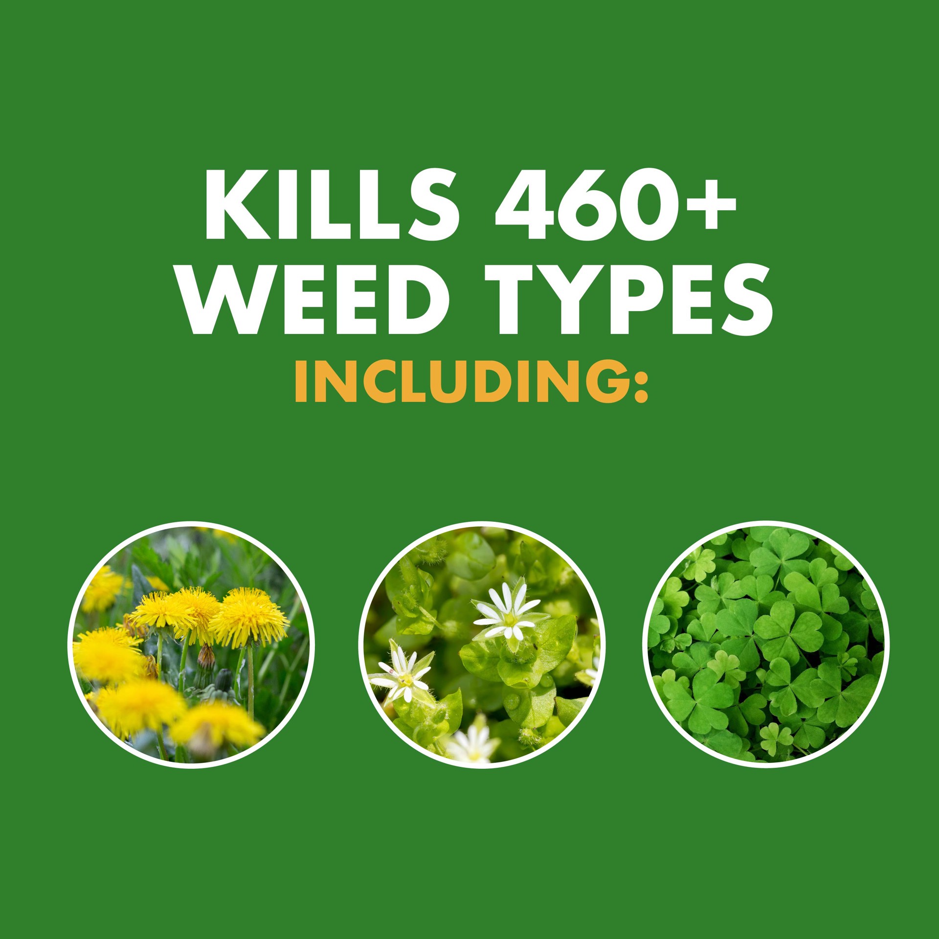 slide 2 of 6, Spectracide Weed Stop For Lawns 1 -Gallon Trigger spray Lawn Weed Killer, 1 ct