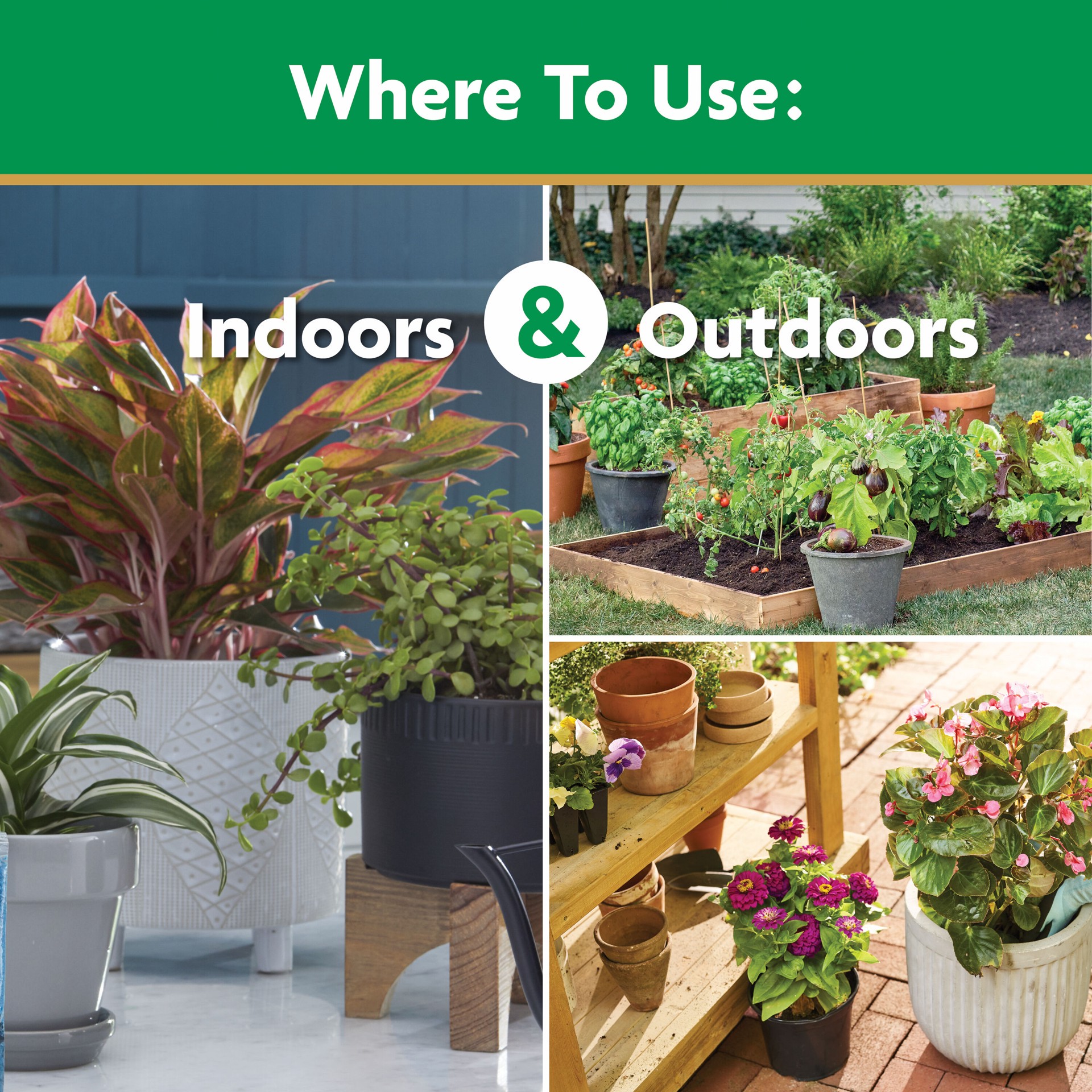 slide 5 of 6, Miracle-Gro 5.5-lb 24-8-16 Water-soluble All Purpose Food, 1 ct