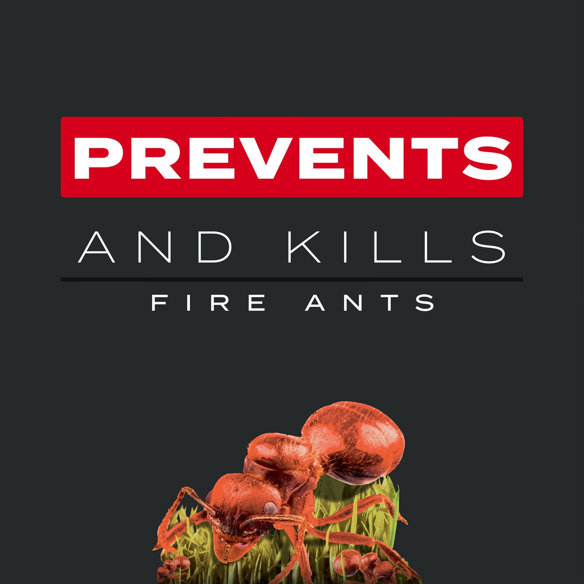 slide 3 of 6, Scotts Turf Builder Southern Triple Action 26.5-lb 8000-sq ft 29-0-10 Weed Feed Insect Control Fertilizer, 1 ct