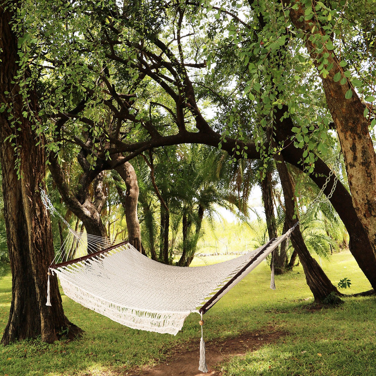 slide 5 of 5, RELIABILT 10.0-ft x 2/0 Welded Zinc plated Steel Chain (By-the-Roll), 1 ct